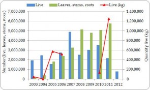 Figure 3.11. Exporter-reported direct exports of Cycas revoluta live plants and derivatives (excluding trade reported by weight) from the Region, all sources, 2003-2012.