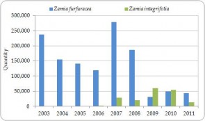Figure 3.14. Exporter-reported direct exports of live Zamia furfuracea and Z. integrifolia from the Region, all sources, 2003-2011 (no trade was reported in 2012).