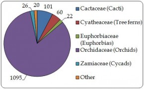 Figure 1.2. Number of CITES-listed plant species occurring in the Region, by family. Orchid data are incomplete. Source: Species+ 