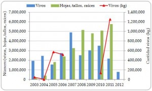 Figura 3.11. Exportaciones directas de plantas vivas y derivados de Cycas revoluta registrados por los exportadores desde la región, todas las fuentes, 2003-2012.