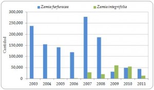 Figura 3.14. Exportaciones directas de Zamia furfuracea y Z. integrifolia vivas desde la Región, declaradas por los exportadores, todas las fuentes, 2003-2011 (no se declaró comercio en 2012).