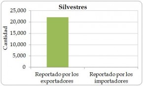 Figure 4.5. Wild-sourced (source ‘W’) direct exports of live Cycas revoluta from the Region reported by exporters (the Region) and by importers, 2003-2012. 