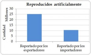 Figure 4.6. Artificially propagated (source ‘A’) direct exports of live Cycas revoluta from the Region reported by exporters (the Region) and by importers, 2003-2012.